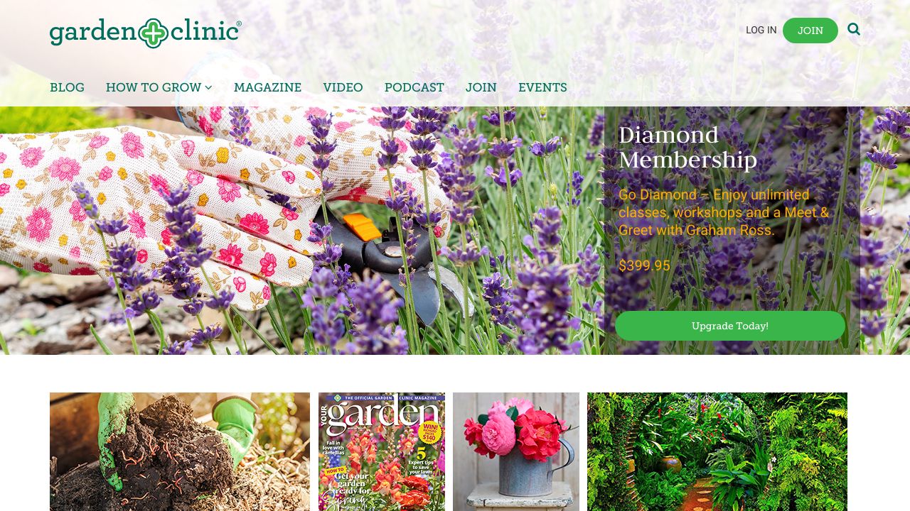 ガーデンノ形成外科