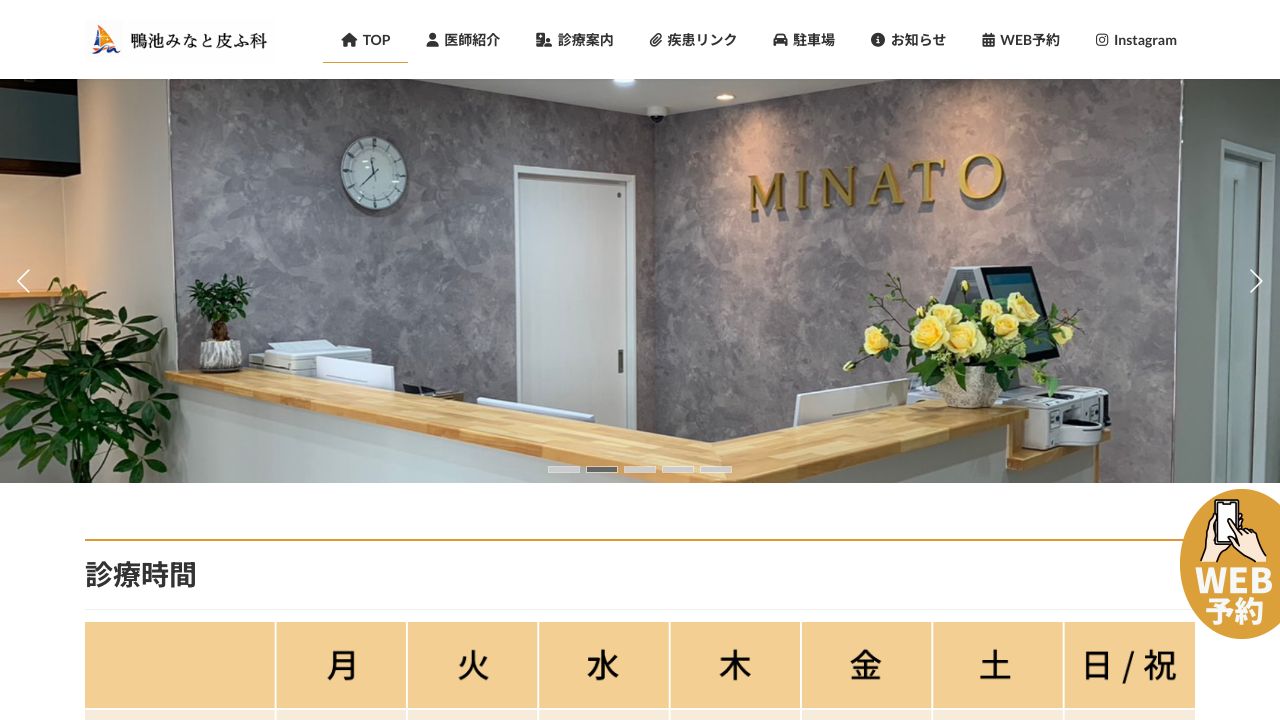 鴨池みなと皮ネ美容外科