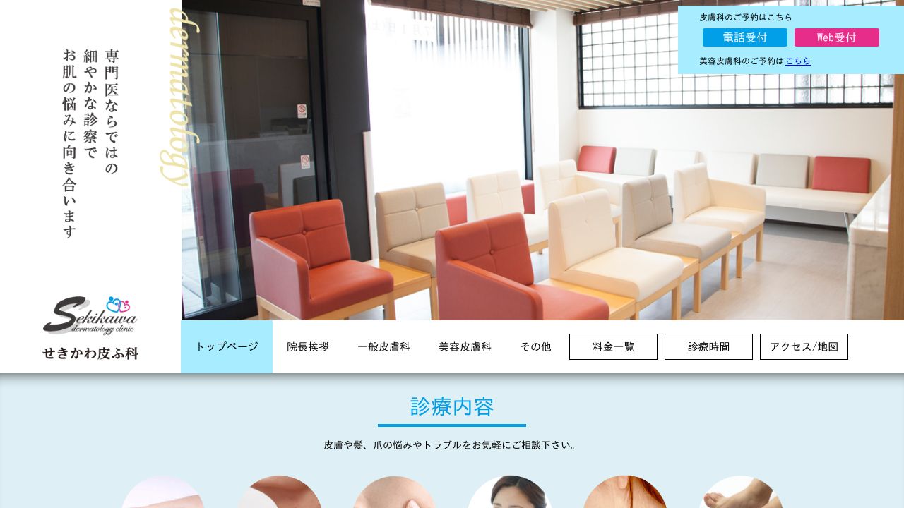 せきかわ皮サ美容外科