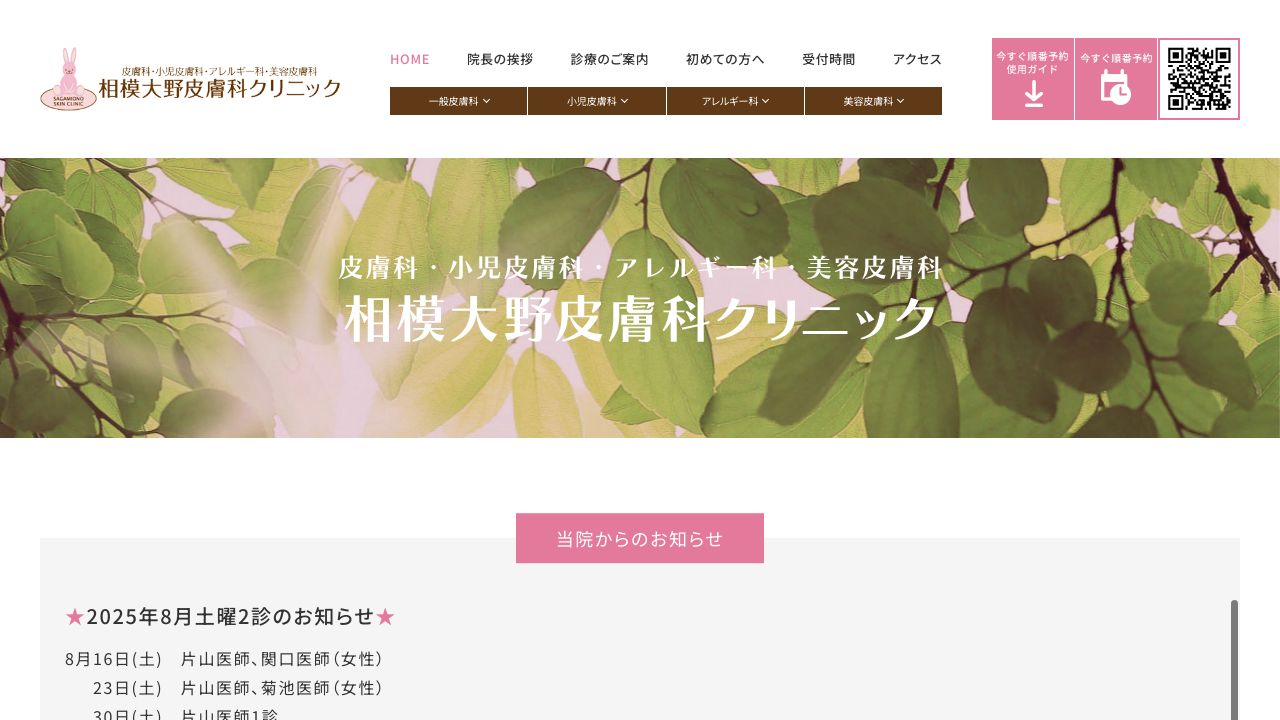 相模大美容皮膚科