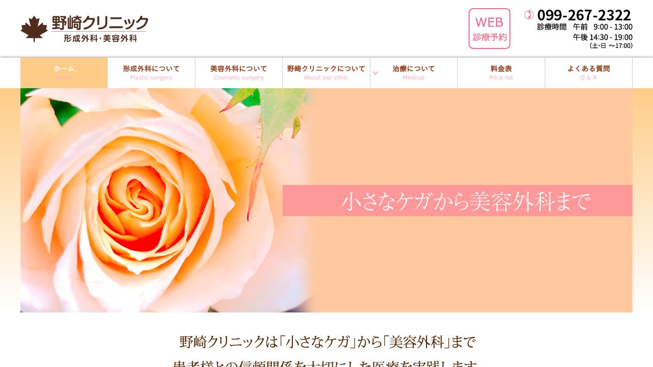 野崎ラ美容クリニック