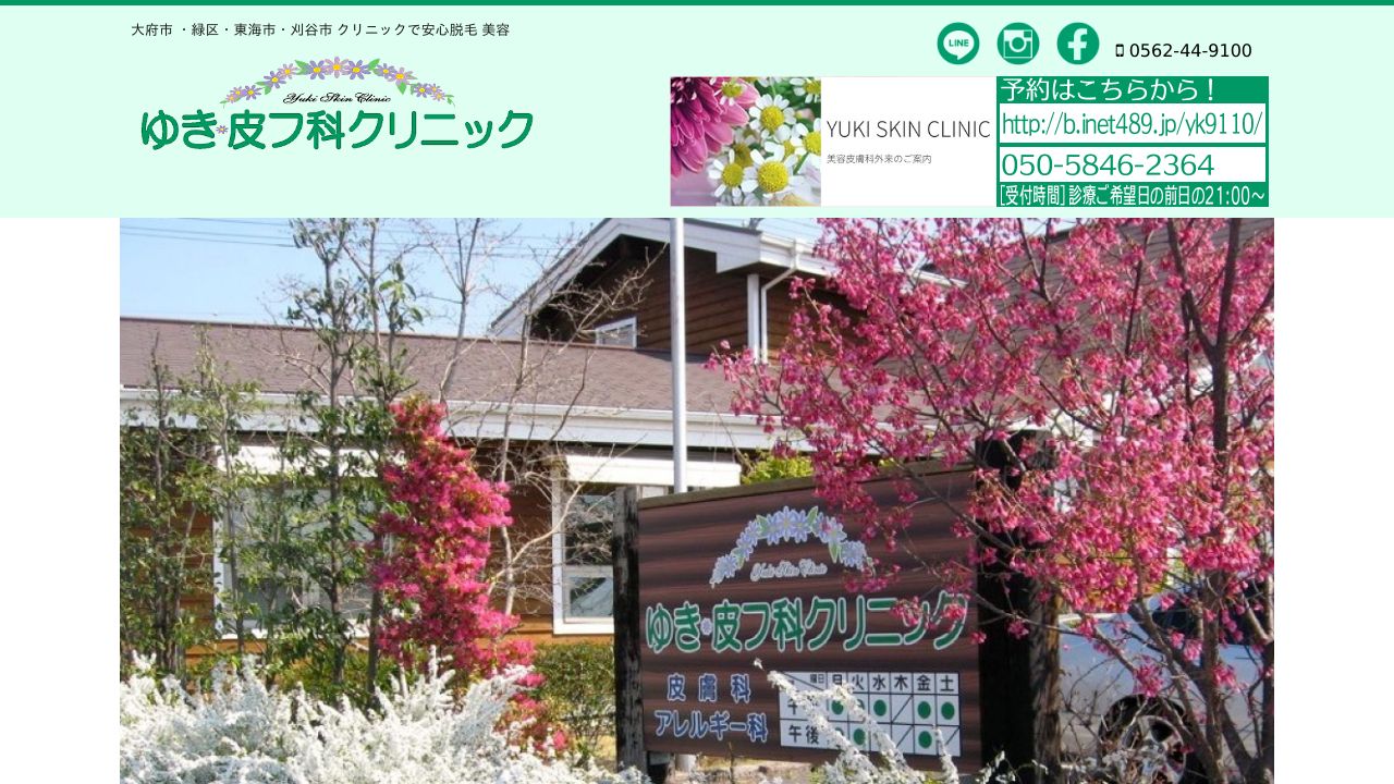 ゆきサ形成外科