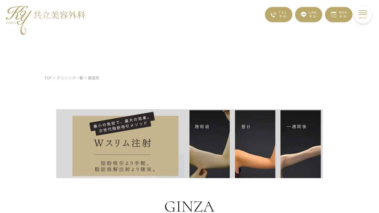 銀座共立タ形成外科