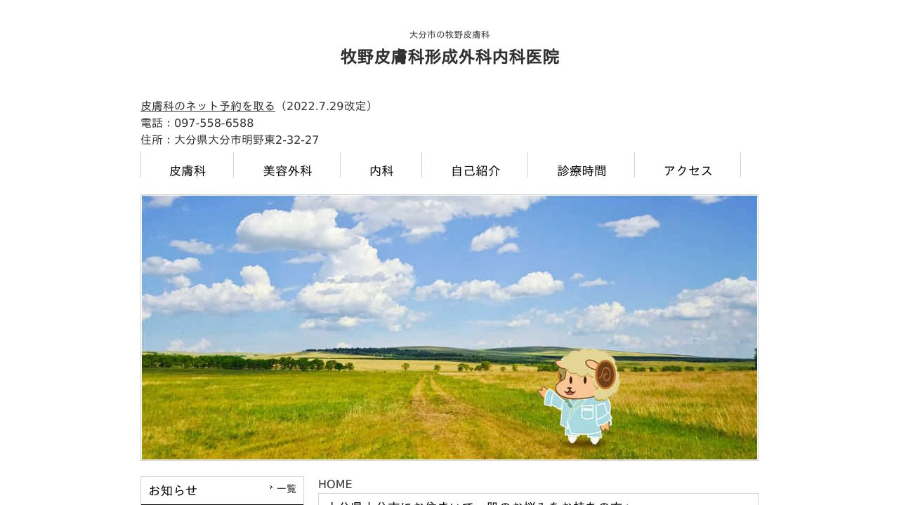 牧野内ナ形成外科