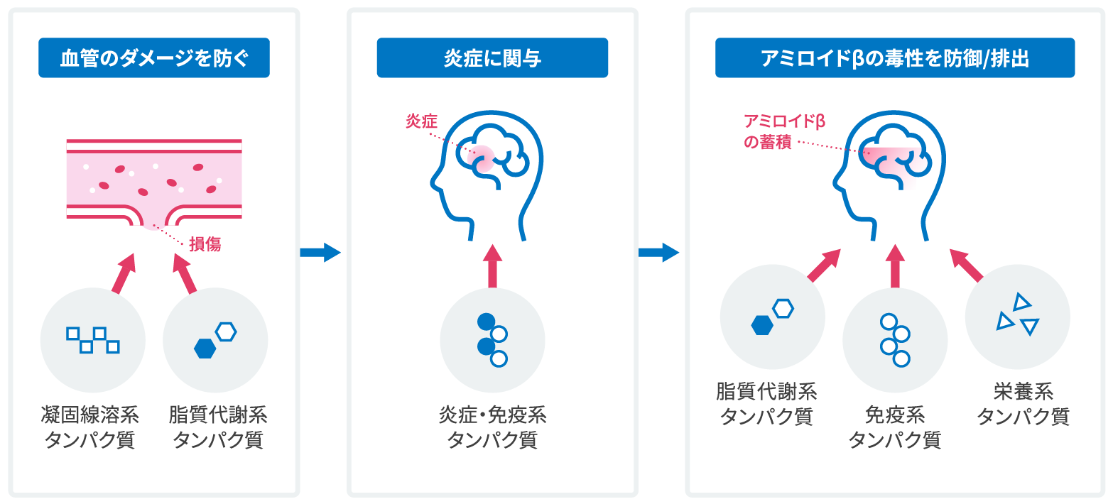 mciタンパク質 