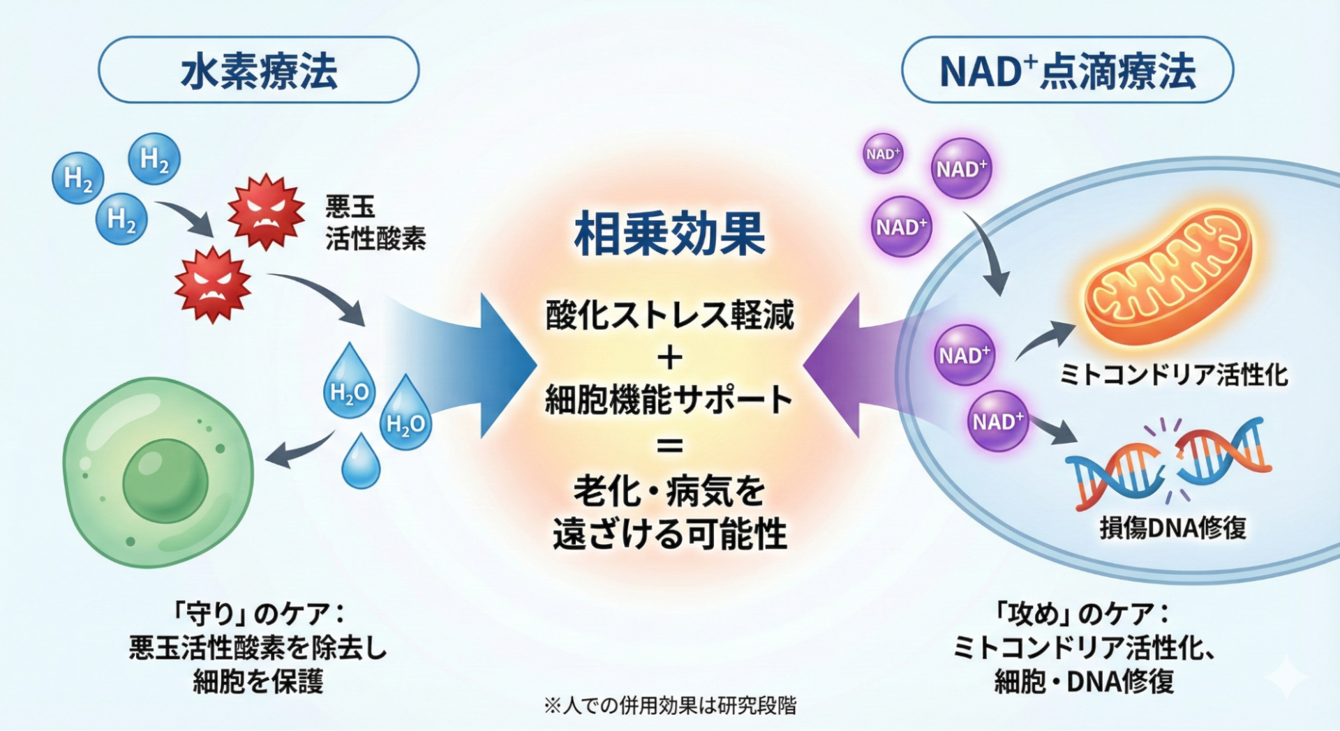 NAD⁺点滴療法の水素療法との併用